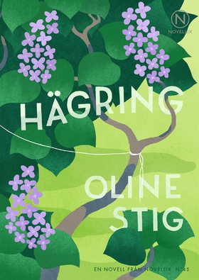 Hägring (ljudbok) av Oline Stig