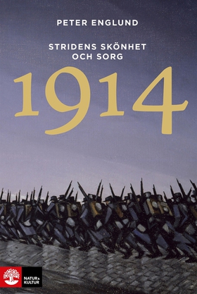 Stridens skönhet och sorg 1914 (e-bok) av Peter