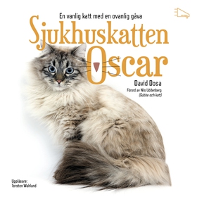 Sjukhuskatten Oscar : En vanlig katt med en ova