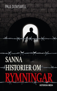 Sanna historier om rymningar (e-bok) av Paul Do