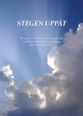 Stegen uppåt (e-bok) av Berit Boström