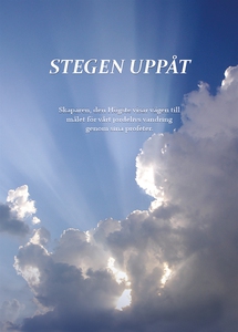 Stegen uppåt (e-bok) av Berit Boström