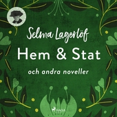 Hem &amp; Stat (och andra noveller)
