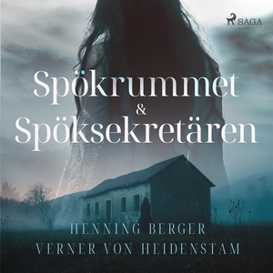 Spökrummet & Spöksekretären (ljudbok) av Verner