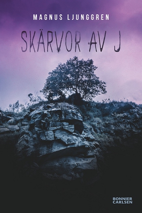 Skärvor av J (e-bok) av Magnus Ljunggren
