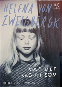 Vad det såg ut som (e-bok) av Helena von Zweigb