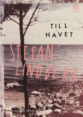 Till havet (e-bok) av Stefan Lindberg