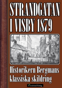 Strandgatan i Visby 1879 (e-bok) av Karl Johan