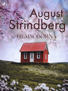 Hemsöborna: En Skärgårdsberättelse (e-bok) av A