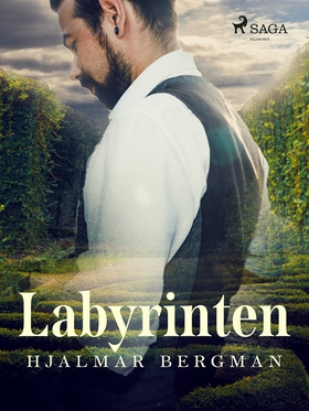 Labyrinten (e-bok) av Hjalmar  Bergman