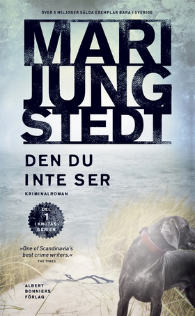 Den du inte ser (e-bok) av Mari Jungstedt