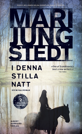 I denna stilla natt (e-bok) av Mari Jungstedt