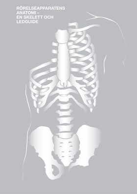 Rörelseapparatens Anatomi - En skelett- och led
