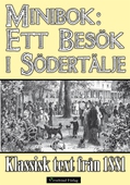 Minibok: Ett besök i Södertälje 1881