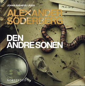 Den andre sonen (ljudbok) av Alexander Söderber