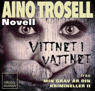 Vittnet i vattnet, novell ur Krimineller II (lj