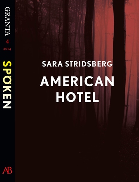 American Hotel : en e-singel ur Granta #4 (e-bo