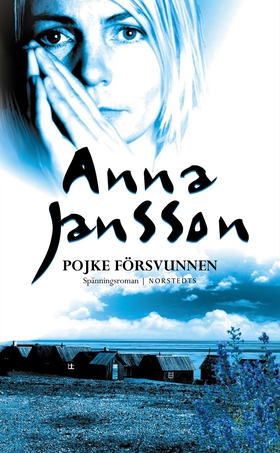 Pojke försvunnen (e-bok) av Anna Jansson