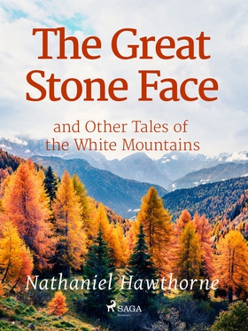 The Great Stone Face and Other Tales of the Whi