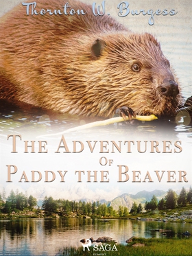 The Adventures of Paddy the Beaver (e-bok) av T