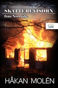 Skatterevisorn från Norrtälje (e-bok) av Håkan