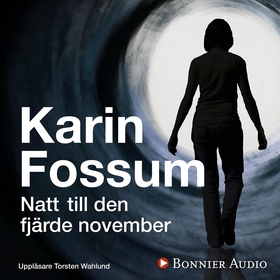 Natt till den fjärde november (ljudbok) av Kari