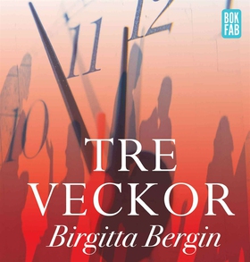 Tre veckor (ljudbok) av Birgitta Bergin