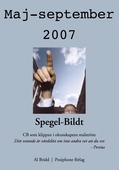 Spegel-Bildt, maj-september 2007. CB som klippan i okunskapens malström.