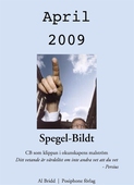 Spegel-Bildt, april 2009. CB som klippan i okunskapens malström.