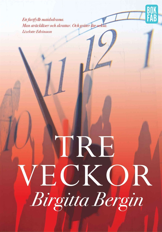 Tre veckor (e-bok) av Birgitta Bergin