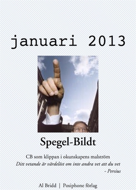 Spegel-Bildt, januari 2013. CB som klippan i ok