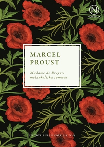 Madame de Breyves melankoliska sommar (e-bok) a