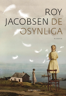 De osynliga (e-bok) av Roy Jacobsen
