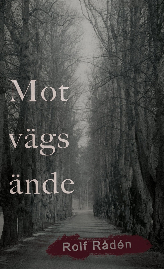 Mot vägs ände (e-bok) av Rolf Rådén