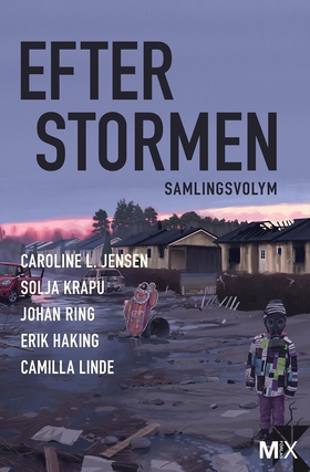 Efter stormen (utökad) (e-bok) av Johan Ring, C