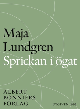 Sprickan i ögat (e-bok) av Maja Lundgren