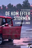 De kom efter stormen