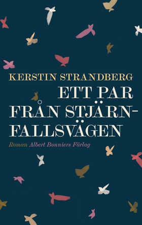 Ett par från Stjärnfallsvägen (e-bok) av Kersti