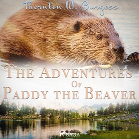 The Adventures of Paddy the Beaver (ljudbok) av