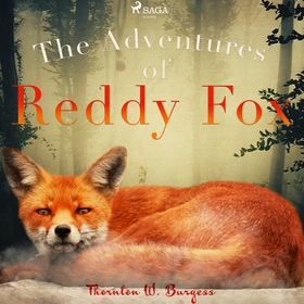 The Adventures of Reddy Fox (ljudbok) av Thornt