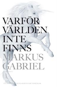 Varför världen inte finns (e-bok) av Markus Gab