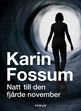 Natt till den fjärde november (e-bok) av Karin 