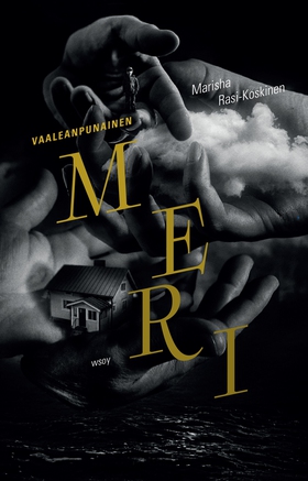 Vaaleanpunainen meri (e-bok) av Marisha Rasi-Ko