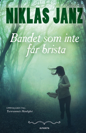Bandet som inte får brista (e-bok) av Niklas Ja