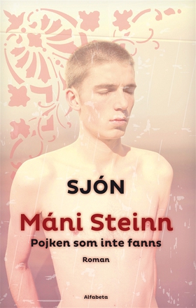 Máni Steinn Pojken som inte fanns (e-bok) av Sj