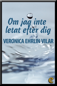 Om jag inte letat efter dig (e-bok) av Veronica