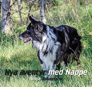 Nya äventyr med Nappe (e-bok) av Sonja Johansso