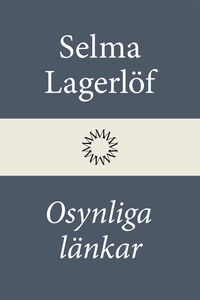 Osynliga länkar (e-bok) av