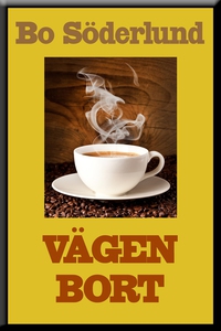 Vägen bort (e-bok) av Bo Söderlund