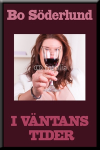 I väntans tider (e-bok) av Bo Söderlund